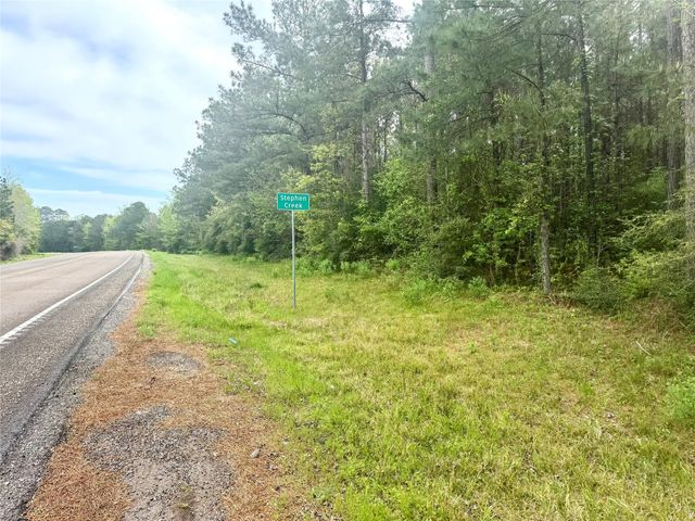 Tract 107 Hwy 156, Coldspring, TX 77331