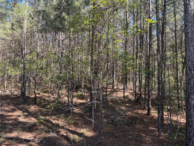 Tract 107 Hwy 156, Coldspring, TX 77331