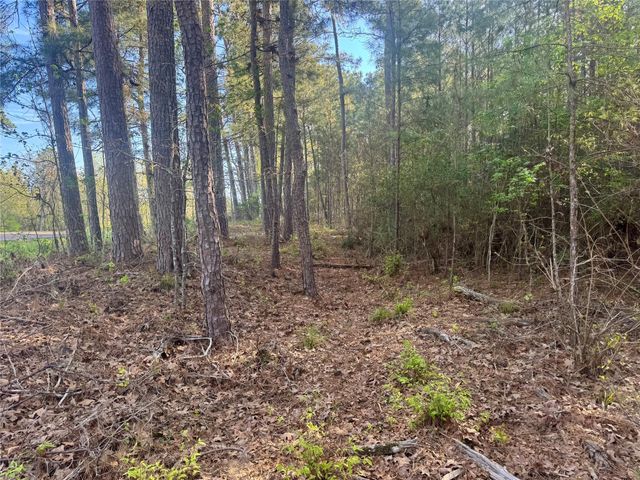 Tract 107 Hwy 156, Coldspring, TX 77331