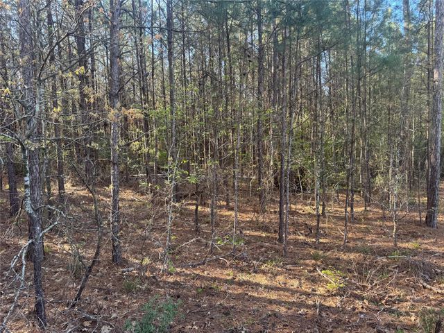 Tract 107 Hwy 156, Coldspring, TX 77331