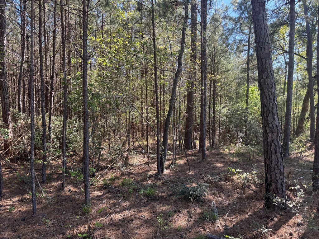 Tract 107 Hwy 156, Coldspring, TX 77331