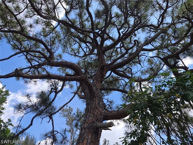 2103 Unity AVE, Fort Myers, FL 33901