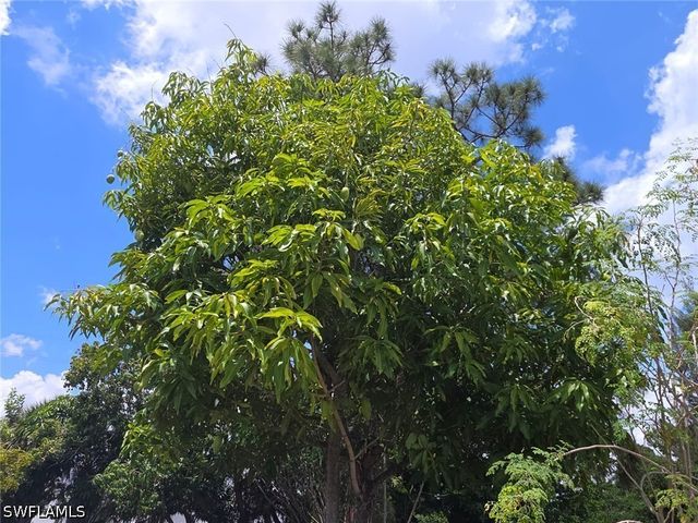 2103 Unity AVE, Fort Myers, FL 33901