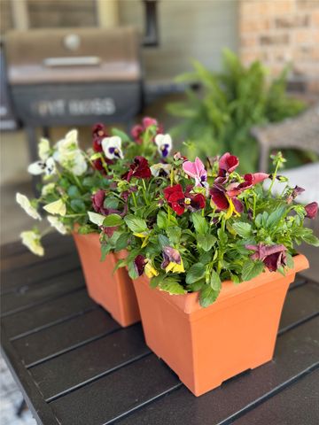 1012 Lincoln Drive, Sulphur Springs, TX 75482