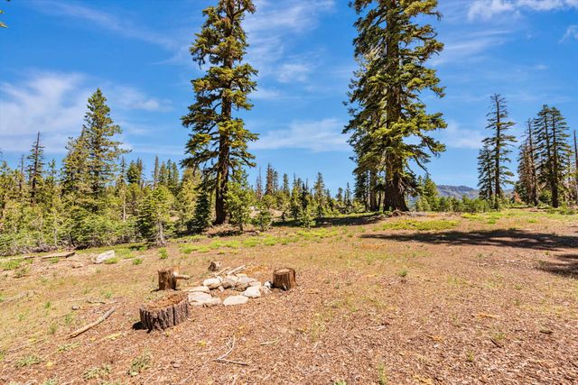 47390 State Highway 88, Pioneer, CA 95666