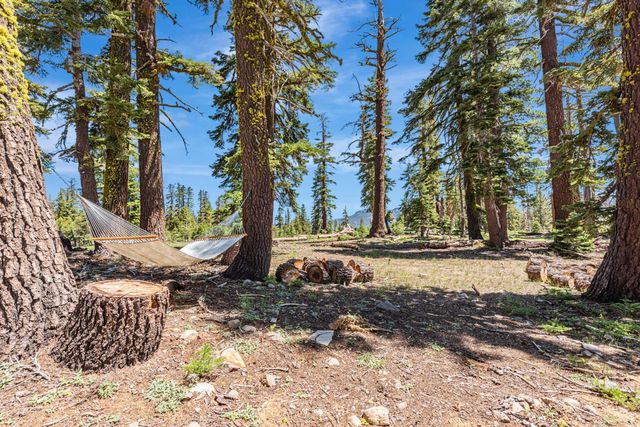 47390 State Highway 88, Pioneer, CA 95666