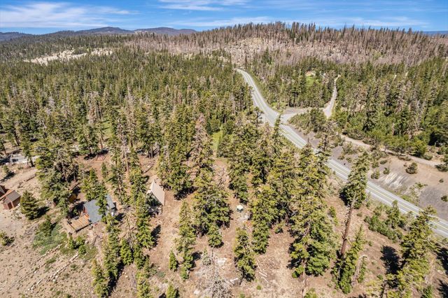 47390 State Highway 88, Pioneer, CA 95666