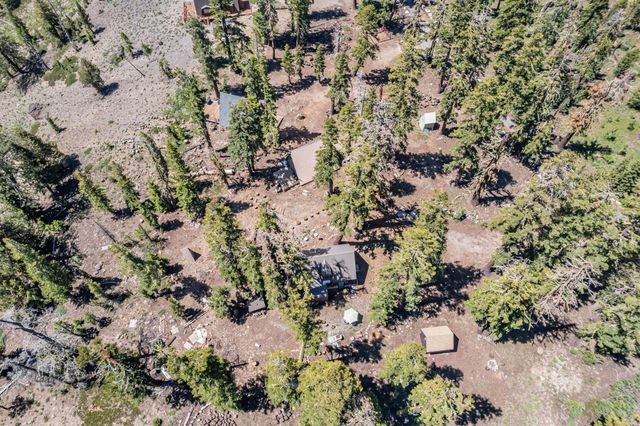 47390 State Highway 88, Pioneer, CA 95666