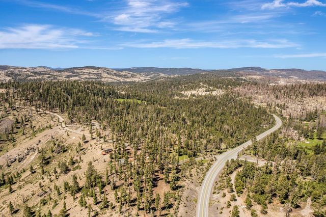 47390 State Highway 88, Pioneer, CA 95666