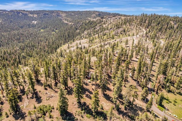47390 State Highway 88, Pioneer, CA 95666