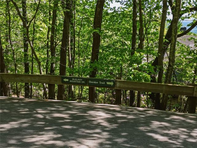 1095 McElroy Mountain Drive, Big Canoe, GA 30143