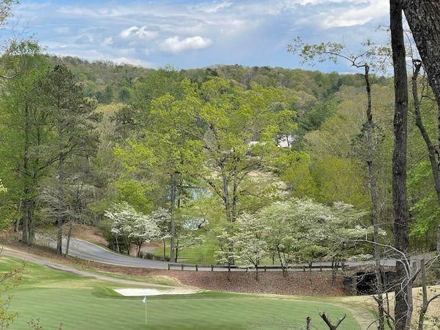 1095 McElroy Mountain Drive, Big Canoe, GA 30143