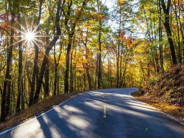 1095 McElroy Mountain Drive, Big Canoe, GA 30143