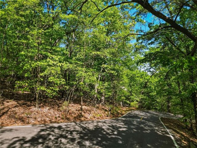 1095 McElroy Mountain Drive, Big Canoe, GA 30143