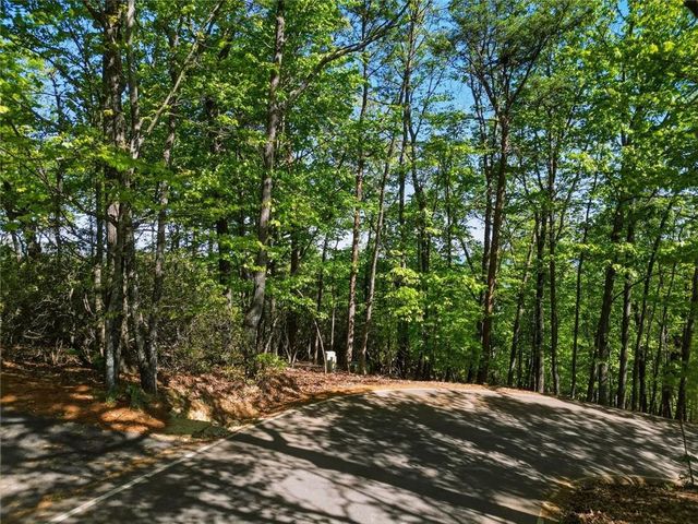 1095 McElroy Mountain Drive, Big Canoe, GA 30143