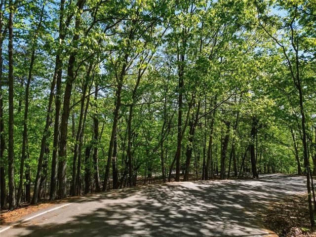 1095 McElroy Mountain Drive, Big Canoe, GA 30143