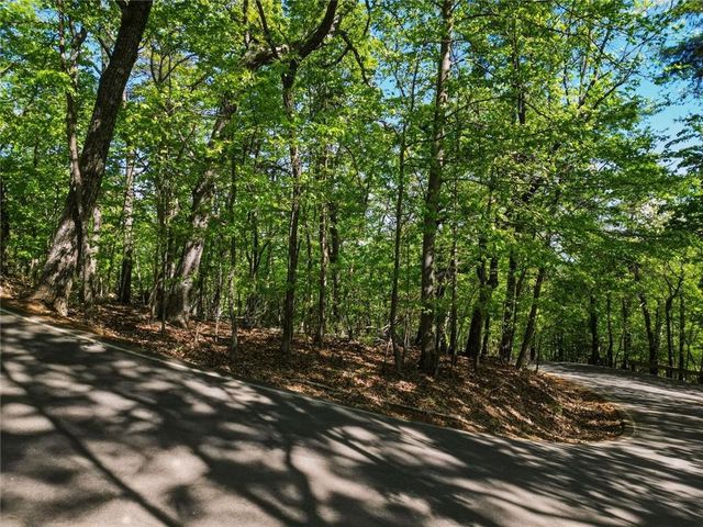 1095 McElroy Mountain Drive, Big Canoe, GA 30143
