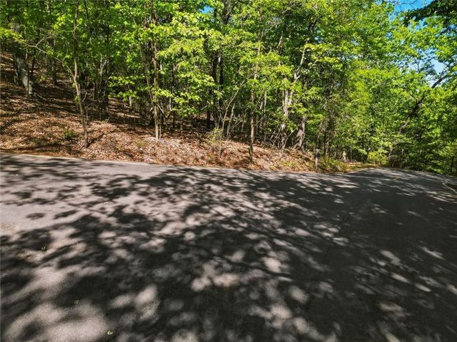 1095 McElroy Mountain Drive, Big Canoe, GA 30143