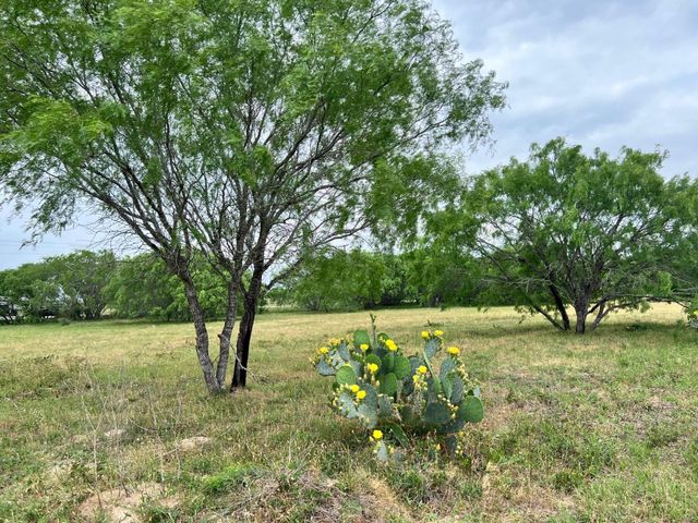 Lot 17 Settlement WAY, Luling, TX 78648