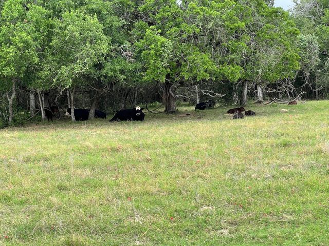 Lot 17 Settlement WAY, Luling, TX 78648