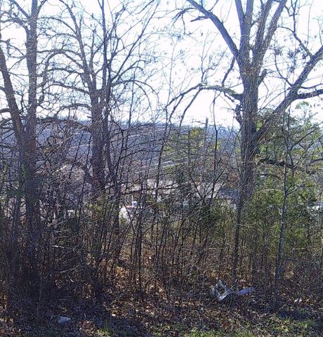 TBD Church Street, Hardy, AR 72542