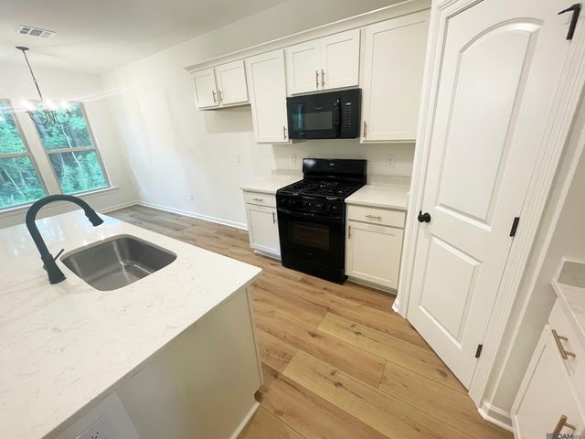 12880 Siberian Dr, Walker, LA 70785