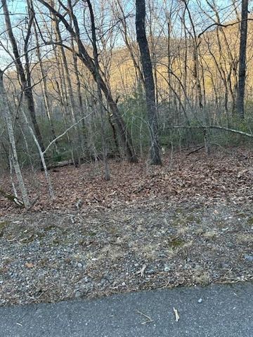 Lot 39 Konahetah Road, Hiawassee, GA 30546