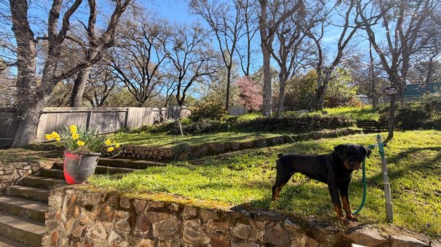 553 Russell Rd, San Andreas, CA 95249