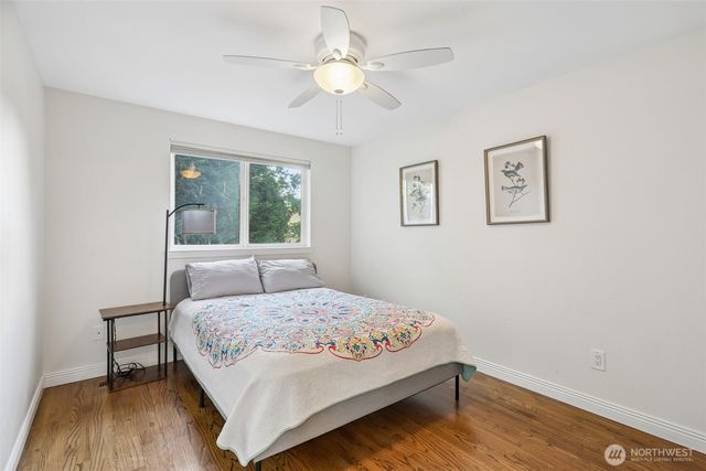 7343 19th Avenue NE, Seattle, WA 98115
