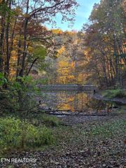 168 Pine Tr, Sevierville, TN 37876