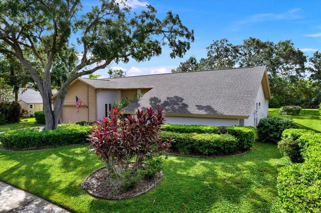4312 MIDDLE LAKE DRIVE, Tampa, FL 33624