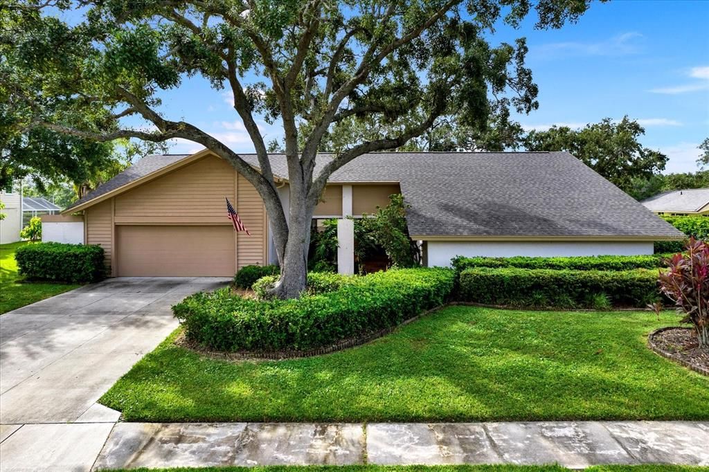 4312 MIDDLE LAKE DRIVE, Tampa, FL 33624