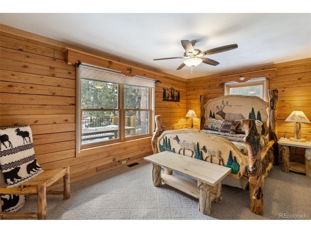 919 Matterhorn Dr, Florissant, CO 80816