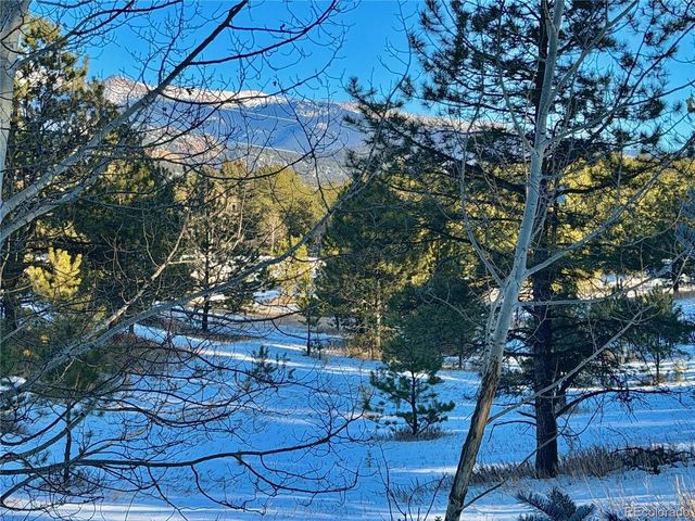 919 Matterhorn Dr, Florissant, CO 80816