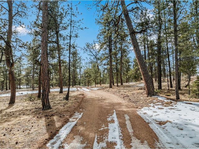 919 Matterhorn Dr, Florissant, CO 80816