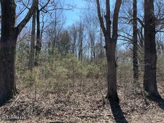 0 Box Corner Road, Byhalia, MS 38611