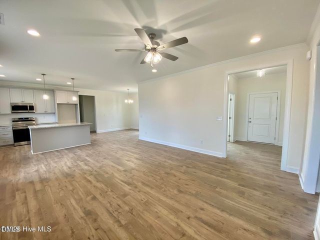 203 Rae Drive, Pikeville, NC 27863