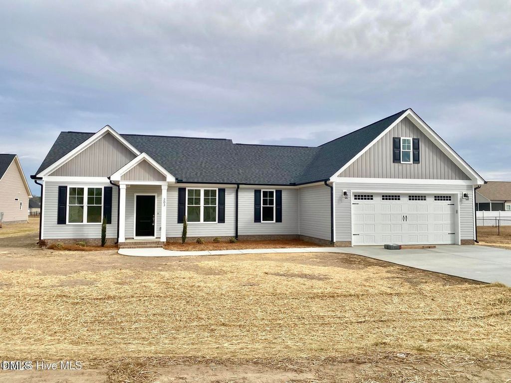 203 Rae Drive, Pikeville, NC 27863
