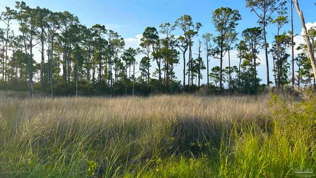 5579 North Shore Way, Perdido Key, FL 32507