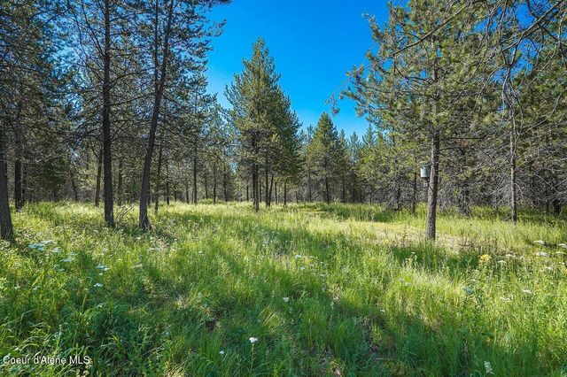 10209 E Snowy LN, Athol, ID 83801