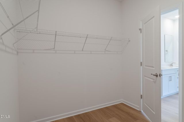 3509 Telluride Trail, Raleigh, NC 27616