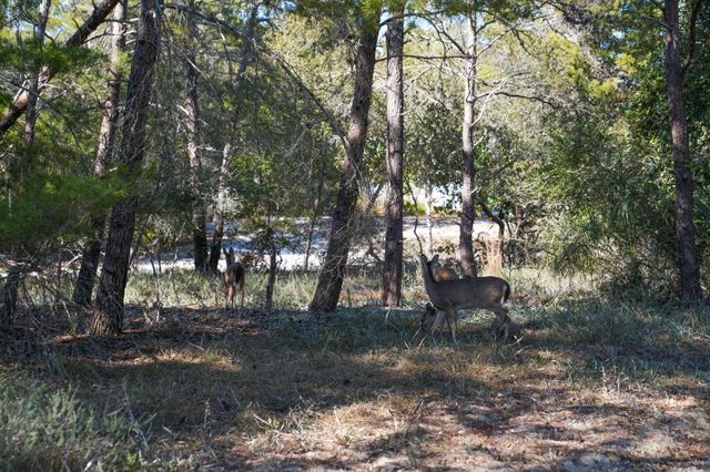 211 Missile Hill Road, Santa Rosa Beach, FL 32459