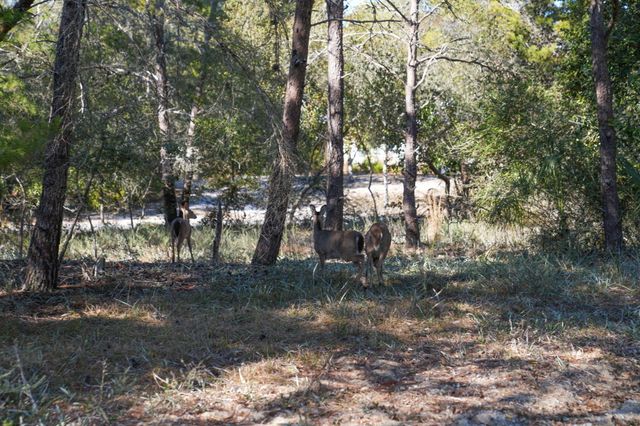 211 Missile Hill Road, Santa Rosa Beach, FL 32459