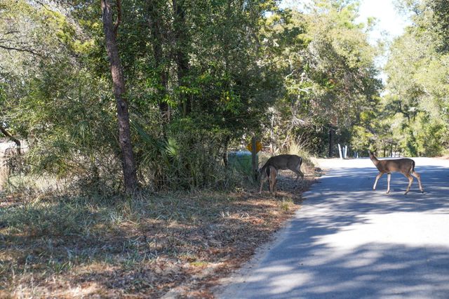 211 Missile Hill Road, Santa Rosa Beach, FL 32459