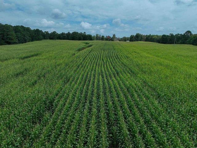 548 Cornerstone Road, Pleasant Plains, AR 72568