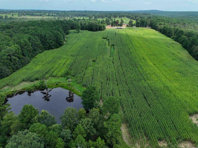 548 Cornerstone Road, Pleasant Plains, AR 72568