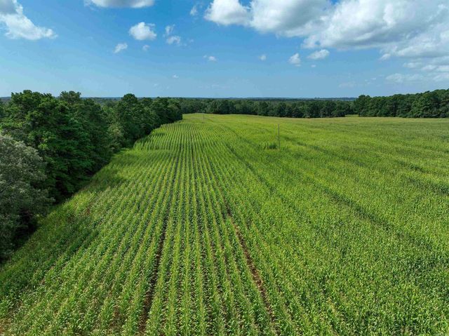 548 Cornerstone Road, Pleasant Plains, AR 72568