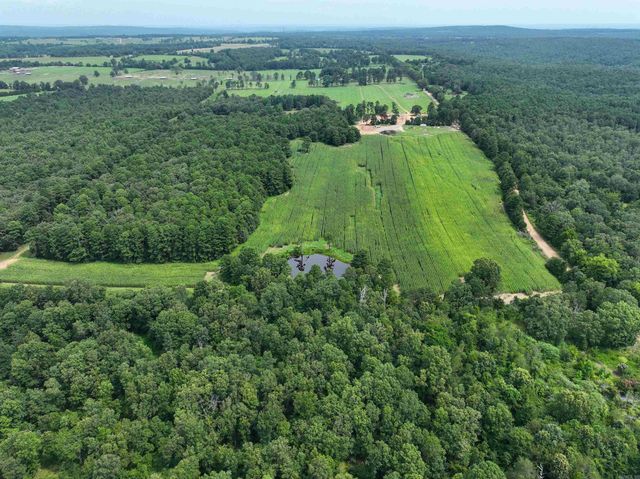 548 Cornerstone Road, Pleasant Plains, AR 72568