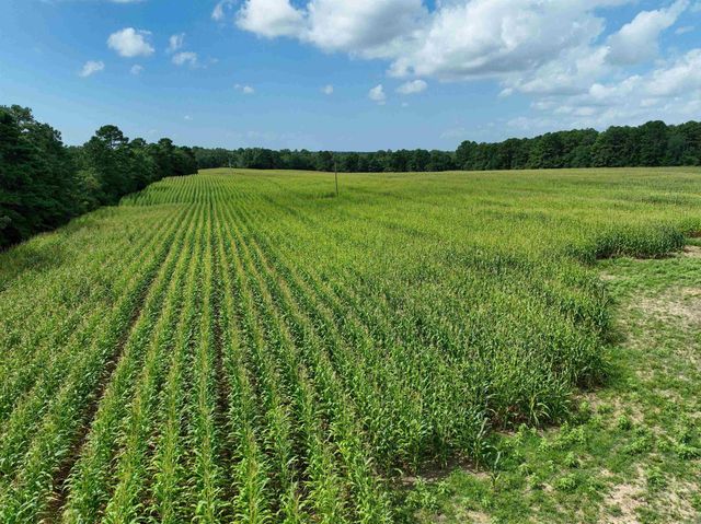 548 Cornerstone Road, Pleasant Plains, AR 72568