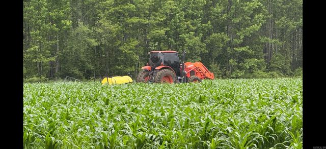 548 Cornerstone Road, Pleasant Plains, AR 72568